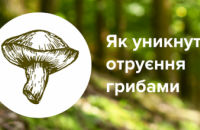 Різке зростання отруєнь грибами: з початку жовтня на Дніпропетровщині постраждало вже п’ятеро людей