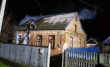 Огнём повреждено 100 кв. метров: в Никополе загорелся частный дом