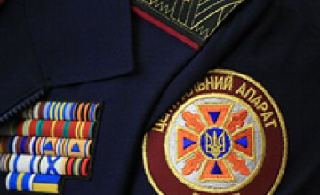 С начала года сотрудники МЧС Днепропетровской области спасли 132 человека