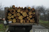 ​На Днепропетровщине задержали грузовик с незаконно спиленной древесиной