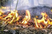 В Днепропетровской области угроза пожаров, – метеорологи