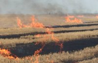 Пожар на Днепропетровщине: на поле горела стерня пшеницы площадью около 5 га
