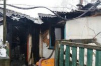 На Житомирщине в пожаре погибли пожилая женщина и ее сын