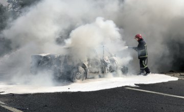 В Житомирской области легковушка влетела в пассажирский микроавтобус и загорелась: 23 человека направлены в больницу