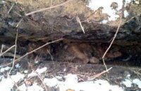 На Днепропетровщине спасатели вытянули собаку, застрявшую в узкой яме (ФОТО)