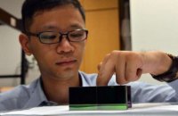 Сингапурские ученые создали «плащ-невидимку»