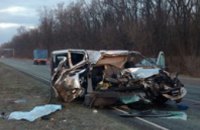 Под Днепром микроавтобус столкнулся с грузовиком: один человек погиб (ФОТО)
