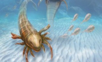 Ученые обнаружили окаменелые останки огромного скорпиона, который жил на Земле около 460 млн лет назад 