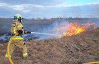 Цього літа екосистеми Дніпропетровщини горіли майже 5,5 тис разів