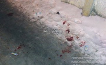 В Павлограде мужчина до полусмерти избил прохожую