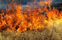На Днепропетровщине объявлено штормовое предупреждение: жара и пожароопасность