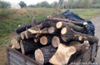 На Днепропетровщине задержан молодой мужчина за незаконную вырубку леса