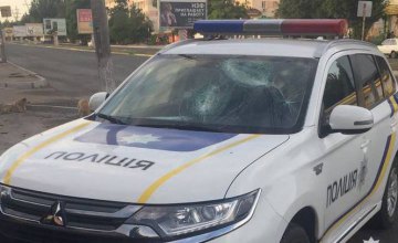 В Днепропетровской области хулиганы битой разбили полицейский автомобиль (ФОТО)