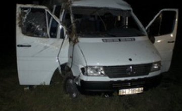 ДТП в Днепропетровской области 1 сентября: микроавтобус перевернулся по вине водителя (ФОТО)