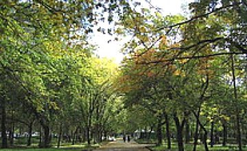 Днепропетровцы обеспокоены застройкой парков и зеленых зон, – Институт Горшенина