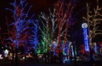 Новая энергосберегающая елка станет украшением новогодних праздников Днепропетровщины, - Валентин Резниченко