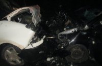 В Житомирской области в результате лобового столкновения автомобилей погибли 2 человека (ФОТО)