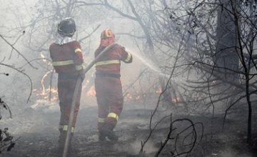  В Италии пожарные поджигали леса ради премий