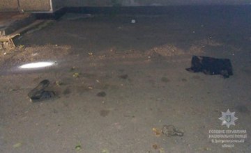 В Днепропетровской области в перестрелке пострадали 3 человека