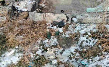 На Днепропетровщине  возле мусорных баков обнаружили 12 кг ртути