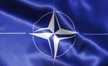 Кабмин разработает план подготовки по сотрудничеству Украины и НАТО