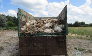 В Киевской области пытались незаконно зарыть в землю несколько тонн умерших курей (ФОТО)