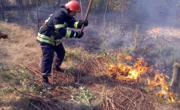 В Днепропетровской области снова горел лес 