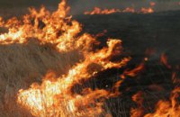 На Днепропетровщине произошел масштабный пожар: 4,8 га уничтожены