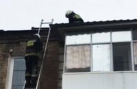 В Днепре кот застрял на крыше дома: потребовалась помощь спасательного отряда