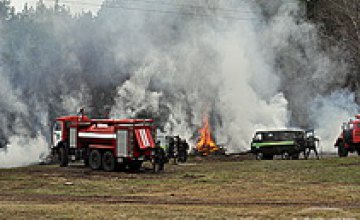 Леса Украины готовы к пожароопасному периоду