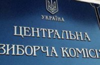 ЦИК обжаловал решение суда в отношении грузинских наблюдателей 