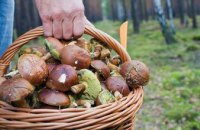 В 2018 году в Днепропетровской области 16 человек отравились грибами
