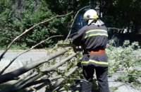 В Днепре на ж/м Тополь – 2 дерево упало на дорогу и перекрыло движение автотранспорта