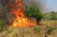 За последние сутки на Днепропетровщине зафиксировали наибольшее количество пожаров