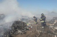В Киевской области загорелась несанкционированная свалка (ФОТО)