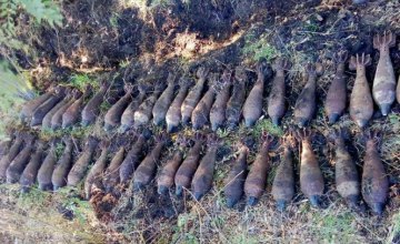 В Днепропетровской области уничтожили почти полсотни минометных мин времен ВОВ