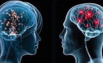 Ученые рассказали различия между женским и мужским мозгом