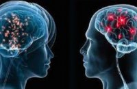Ученые рассказали различия между женским и мужским мозгом