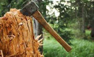 Обустраивался как мог: на Днепропетровщине мужчина  вырубил  защитные деревья
