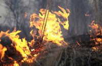 Неутешительная статистика: на Днепропетровщине увеличивается количество пожаров в экосистемах 