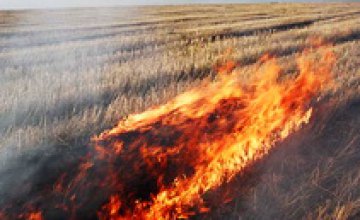 В Днепропетровской области горела стерня на площади порядка 100 га