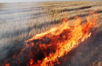 В Днепропетровской области горела стерня на площади порядка 100 га