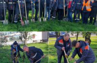 Спеціалісти Дніпропетровськгазу посадили новий зелений сквер у Павлограді