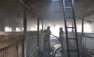 В Киевской области при невыясненных обстоятельствах сгорела ферма 