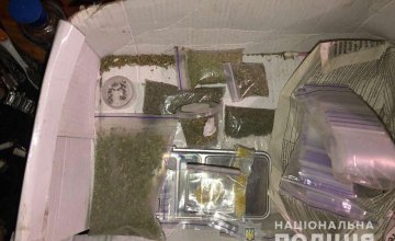 На Днепропетровщине у мужчины нашли наркотики стоимостью 13 тыс. грн