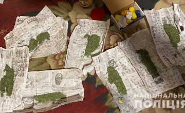 Группа ранее судимых мужчин выращивала коноплю: на Днепропетровщине изъято наркотиков на сумму около 200 тыс. грн