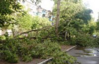 Ураган «потрепал» Самарский район Днепропетровска на сумму 1 млн. грн. 