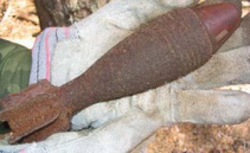 В Днепропетровской области в лесу металлоискатель обнаружил 8 минометных мин