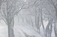 На завтра синоптики прогнозируют на Днепропетровщине туман и небольшой снег