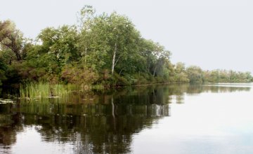 ​На Днепропетровщине установят границы заповедников